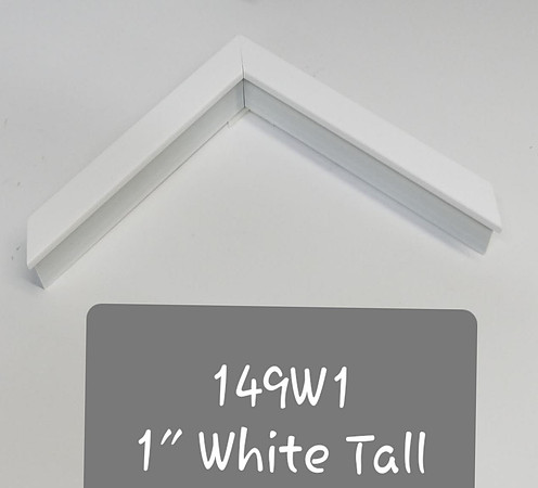 149W1
